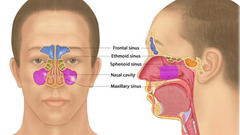 علل ایجاد انواع توده های بینی